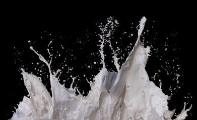 Poster - Milk splash isolated over black background