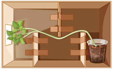 Poster - Growing potato science experiment with light