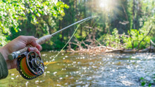 Fly Fishing Rod In Fisherman Hand. Fishing On The Mountain River. Summer Activities.