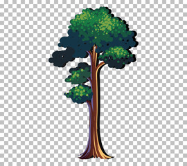 Poster - A tree isolated on transparent background