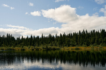 Wall Mural - Blankputten Lake by the Bjørnåsen Hill, part of the Totenåsen Hills, in the Fjellsjøkampen Nature Reserve, Norway.