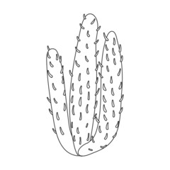 Wall Mural - Cactus vector icon.Outline vector icon isolated on white background cactus .