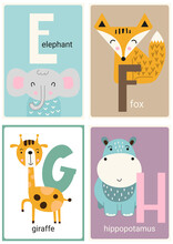 Alphabet Cards For Kids. Educational Preschool Learning ABC With Animals Elephant, Fox, Giraffe, Hippopotamus And Letters E, F, G, H. Vector Illustration.