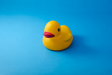 Yellow Rubber Duck On Blue Background