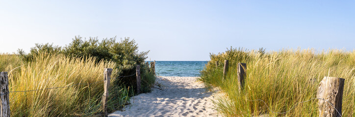 Panorama Strandweg Ostsee Dünen