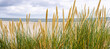 Panorama in den Dünen Ostsee Strand