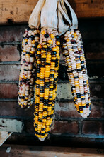 Close-up Of Corns Hanging At Market Stall