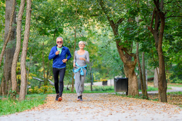 Wall Mural - Smiling senior couple jogging in the park. Sports activities for elderly people.