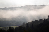Fototapeta Fototapety na ścianę - Las we mgle wierzchołki drzew na tle nieba