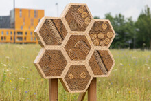 Insect Hotel With Hexagon Shapes Made Of Natural Materials Like Wood With Holes, Bamboo Sticks And Straws For A Better Biodiversity In Breda City On A Green Grass Field With Flowers 