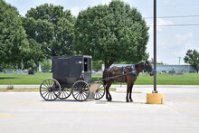 Horse And Buggy