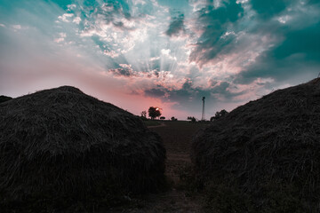 Sticker - Beautiful sunset in a cloudy sky with grass piles in the foreground