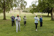 © McKinsey Jordan/Stocksy - Group of Seniors Engages in a Workout in the Park