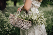 Woman Carrying A Basket Of Cow Parsley.