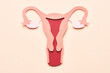 © Martí Sans/Stocksy - Female reproductive system illustration.