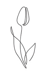 Wall Mural - Beautiful tulip flower. Line art concept design. Continuous line drawing. Stylized flower symbol. Vector illustration.