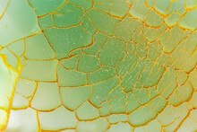 Patterns Of A Green Dragon Vein Agate