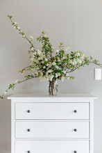 Bouquet Of Spring Flowers On White Cabinet