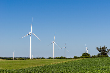 landscape of energy efficient wind turbine at the countryside near tarariras, colonia