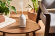 © Martí Sans/Stocksy - Humidifier on coffee table.