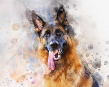 Watercolor Portrait Of German Shepherd Dog. Hand Drawn Digital Water Color Painting.