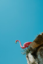 Plastic Pink Flamingo On The Roof