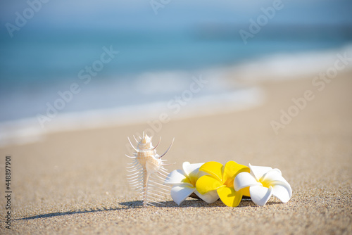 ハワイ アドビストックのデザイン かべいろ Com おしゃれ壁紙リフォーム貼り替え インクジェット壁紙のかべいろ Com