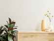 © Vanit่jan - Wall mockup with Vase and green plant,White wall and shelf.