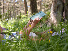 Woman With Book In High Green Grass In Woods