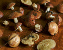 Mushrooms On A Wooden Table