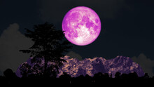 Full Pink Moon And Tree On The Silhouette Mountain On The Night Sky
