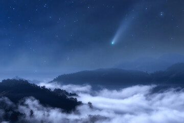 Wall Mural - the sea of fog at night in the forest in the sky with meteors.