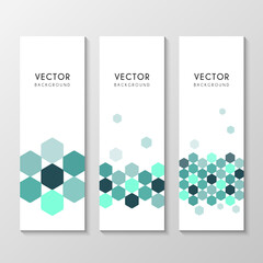 Wall Mural - corporate banner design with hexagon