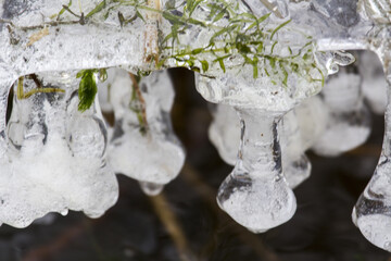 Closeup shot of frozen dripping ice on plants