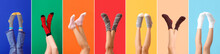 Legs Of Young Woman In Socks On Color Background