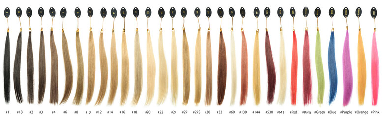 Wall Mural - Hair base color palette, hair samples chart, make of human hair