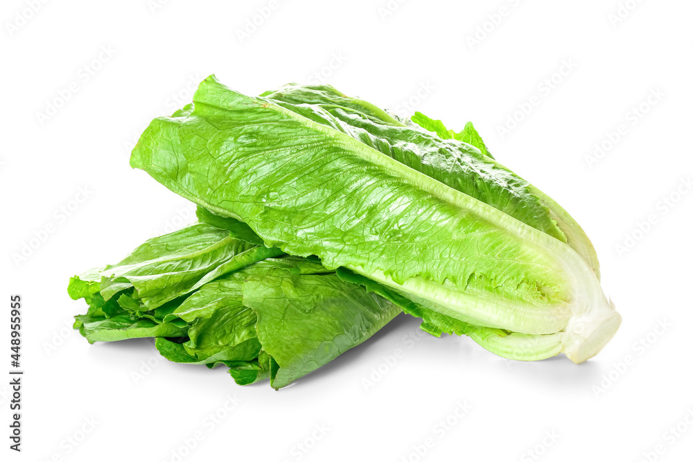 Fresh romaine lettuce on white background