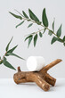 Plastic container on wooden podium and eucalyptus branch on grey background. Natural cosmetic product mockup. White jar on snag and green leaves. Modern spa and beauty concept. Front view composition.