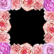 Beautiful flower frame made of roses and carnations. Isolated