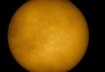 Wall Mural - the sun surface with brand new sunspots on 3rd of august 2021