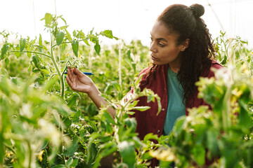 Wall Mural - Middle aged african woman gardener working