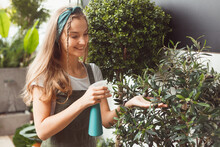 Young Woman Spraying Water On Houseplant Olive Tree