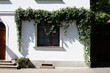 Historic house plastered in white with green vines hanging on the wall