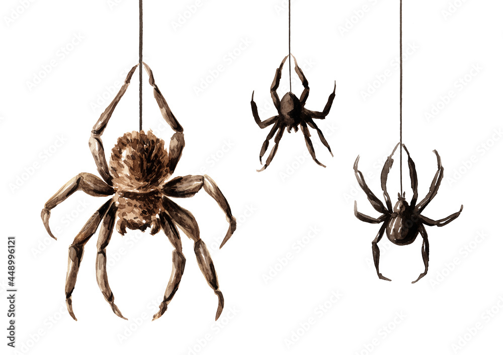 spider hanging on a web set. Hand drawn watercolor illustration, isolated on white background - obrazy, fototapety, plakaty 