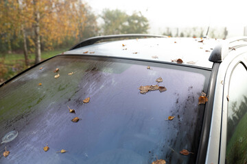 Autumn leaves stuck to a car covered in dew. Autumn morning cool and humid.