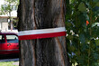 A red and white ribbon encircling a tree trunk