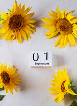 Sunflower Frame With Wooden Calendar 1 September On Marble Background. Autumn Concept