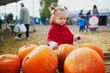 © Ekaterina Pokrovsky - Adorable toddler girl in red poncho selecting pumpkin on farm