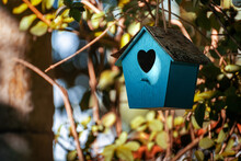 Blue Birdhouse In A Garden In Autumn