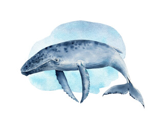 watercolor illustration of big blue whale on water background. hand painted on white background.